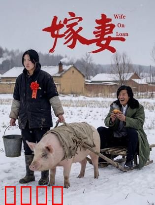 嫁妻：被卖婚姻的绝望