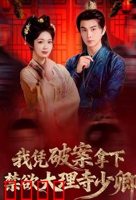 破案狂飙：正义追踪