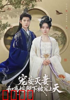 宠妾灭妻，和离嫁陛下被宠上天：逆袭后宫