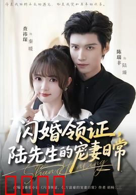 闪婚领证，陆先生的宠妻日常：闪婚甜宠