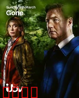 消失的妻子Gone：完美陷阱