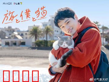 旅行和我和猫：一段治愈旅程