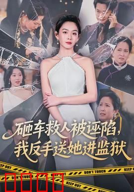 砸车救人被诬陷，我反手送她进监狱：正义虽迟但到