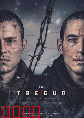 休战：人性抉择