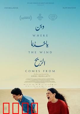 风来之所：命运之风