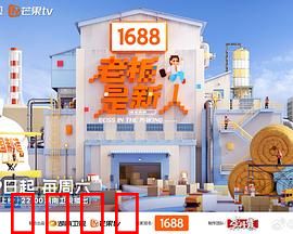 老板是新人：菜鸟逆袭记