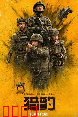 猎豹：绝地反击