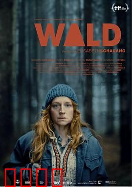 走出丛林：绝境求生