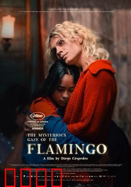 弗拉明戈的神秘眼神：舞中窥见真相