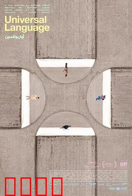 共同的语言：无声的误解