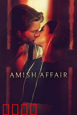 阿米什事件：神秘失踪事件