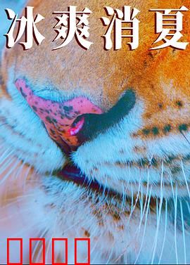 寒冰白血：雪地里的救赎