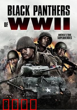 二战黑豹：钢铁巨兽的咆哮