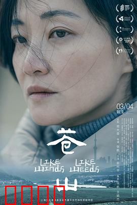 苍山：云海日出绝美