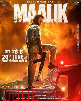 马利克：边缘警察的崛起