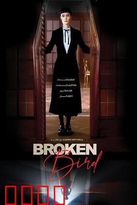 折翼鸟：逆风前行