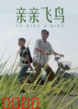 亲亲飞鸟：爱与迁徙