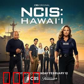 海军罪案调查处：经典探案