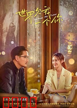 世界欠我一个你：错失的青春告白