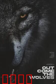 狼群出动：血战非洲