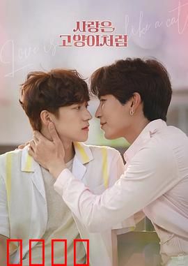 爱情像猫一样：神秘自由的心