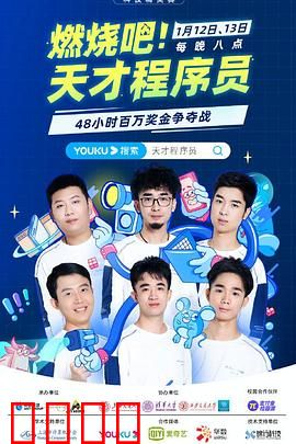 燃烧吧！天才程序员：逆袭代码