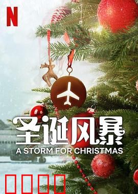 圣诞风暴：暴雪中的温情
