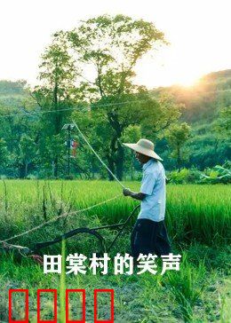 田棠村的笑声：笑声背后的力量