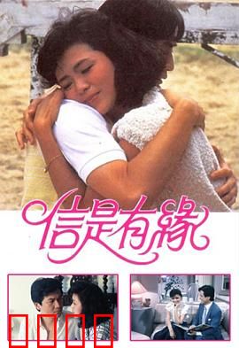 信是有缘粤语：姻缘天注定