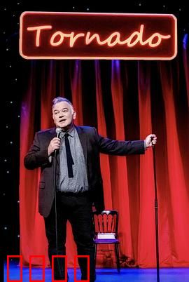 斯图尔特·李：冷面笑匠