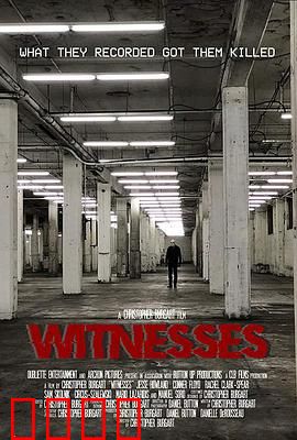 目击者2019：致命目击