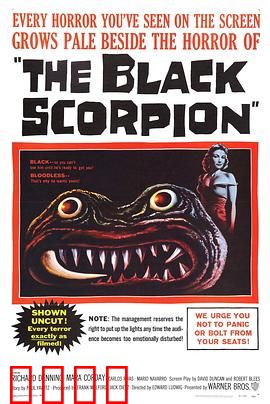 黑蝎：夜行女侠