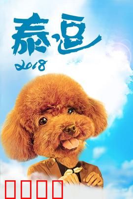 泰逗2018：逗逼泰囧