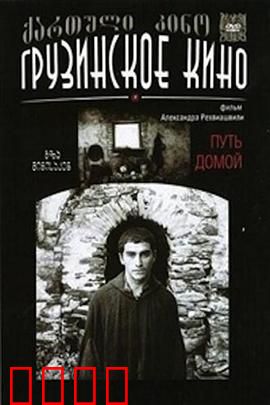 返乡之路：心归故土