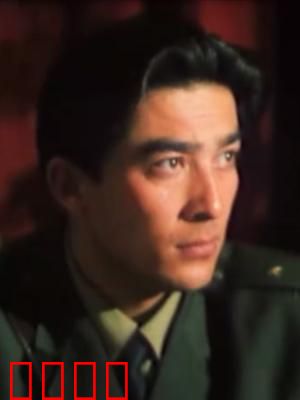 阿娜的生日：最后的礼物