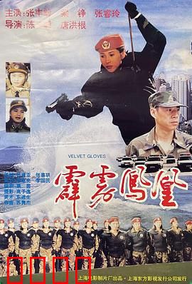 霹雳凤凰：巾帼警魂