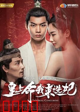 皇上命我来选妃：逆袭王妃之路