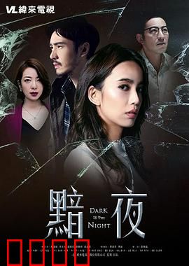 黯夜：黑暗中的真相