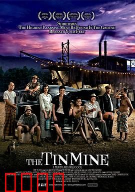 锡矿山：矿工的血泪史