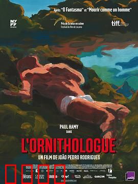 鸟类学家：迷失仙境