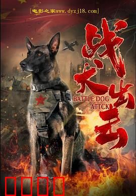 战犬出击：生死相依