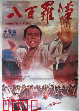 八百罗汉：少林抗清传奇