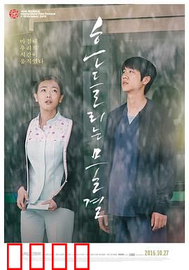 绽放2015：青春如花