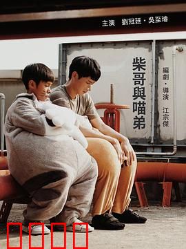 柴哥与喵弟：萌宠搭档欢乐多