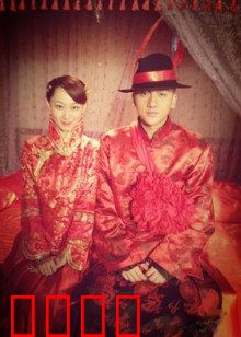 猛虎嗅蔷薇：铁汉柔情复仇路