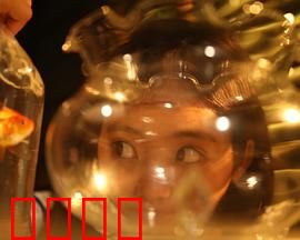 樓上樓下：邻里大战