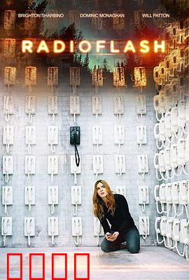 电磁脉冲：末日生存指南