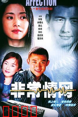 非常情网：网络迷情