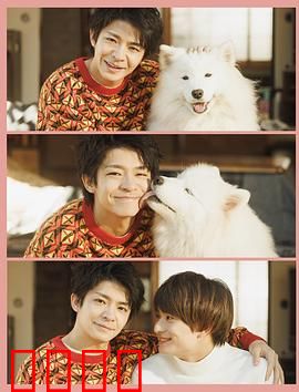 爱你汪汪：萌犬牵线