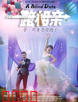 一路相亲：剩女逆袭记